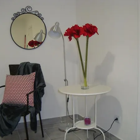Lejlighed Castelo Branco 1